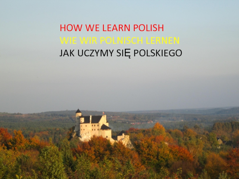 HOW WE LEARN POLISH WIE WIR POLNISCH LERNEN JAK UC ZYMY SIĘ POLSKIEGO
