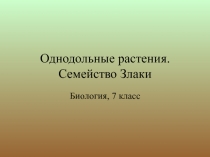 Однодольные растения. Семейство Злаки  Биология, 7 класс