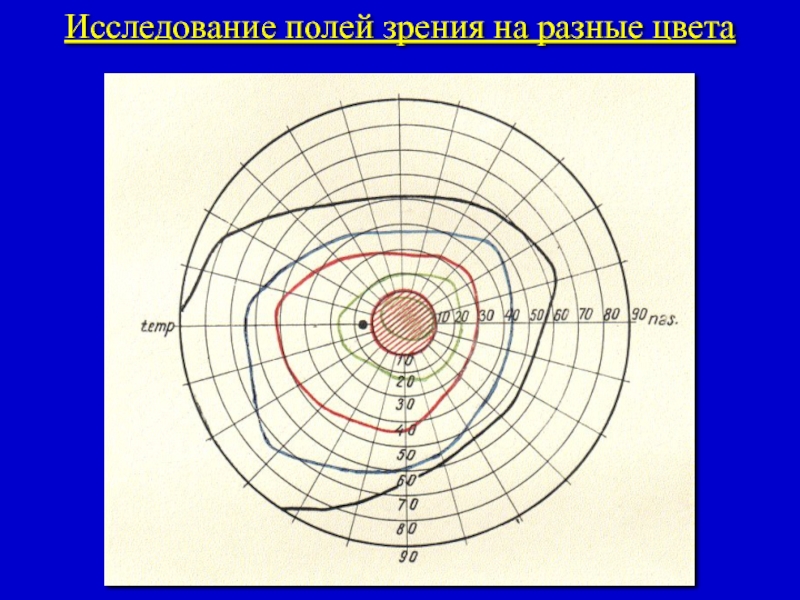Исследование полей зрения. Исследование границ поля зрения. Границы поля зрения на цвета. Границы поля зрения на различные цвета.