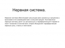Нервная система. Нервная система обеспечивает регуляцию всех жизненных