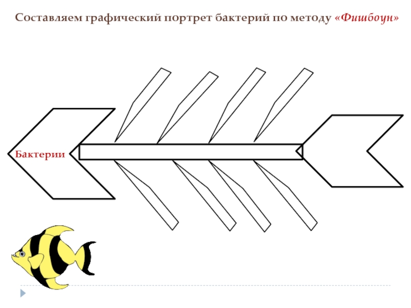 Технология фишбоун презентация