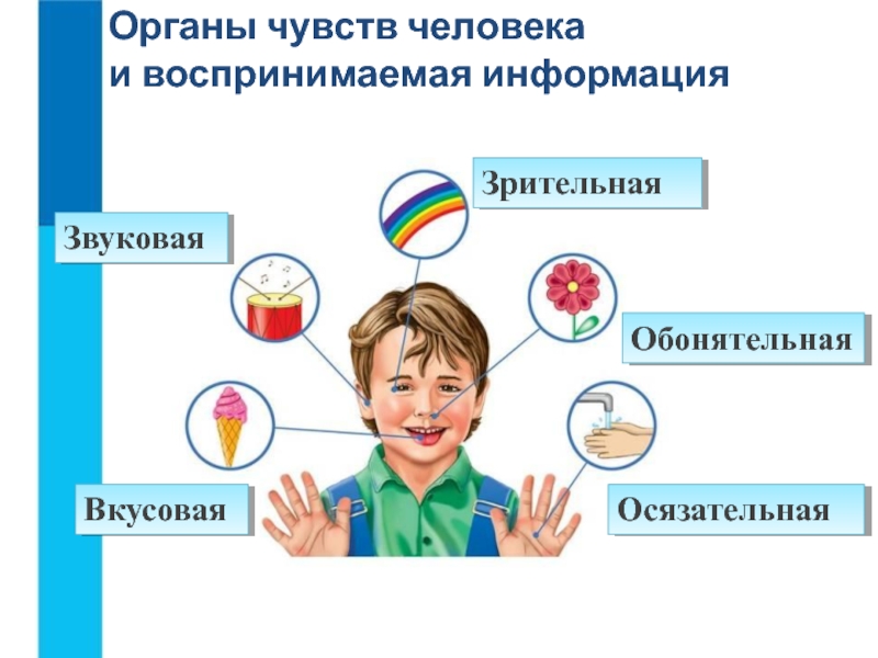 Виды информации 1 класс презентация