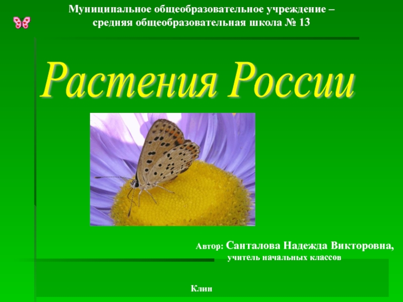Презентация Растения России 2 класс