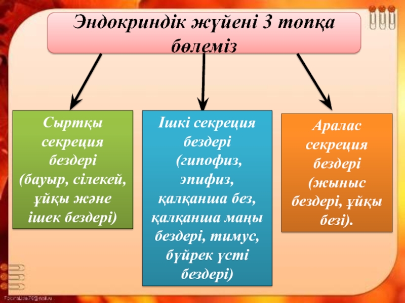 Ішкі секреция бездері аурулары презентация