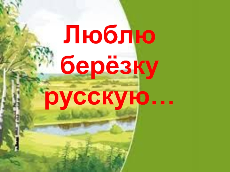 Люблю  берёзку русскую…