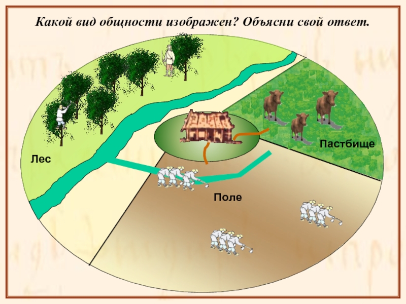 Схема культурного пастбища