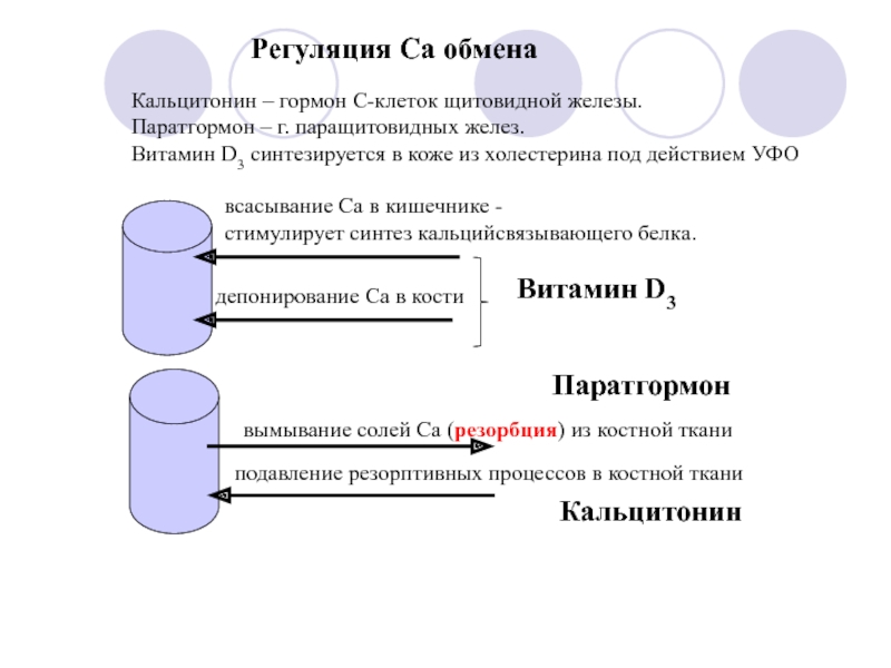 Паратгормон и кальцитонин. Синтез кальцитонина. Кальцитонин и паратгормон. Регуляция синтеза кальцитонина. Паратгормон и тиреокальцитонин.