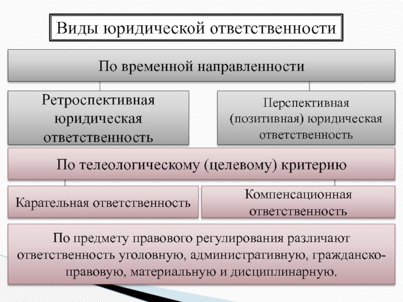 Виды правонарушений план