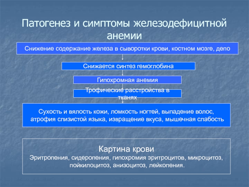 Схема патогенеза железодефицитной анемии