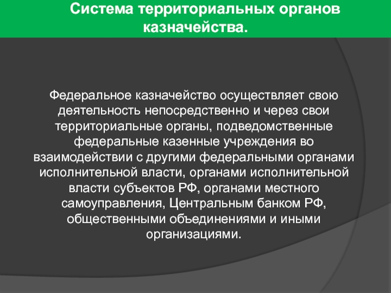 Система территориальных органов. Федеральное казначейство осуществляет.