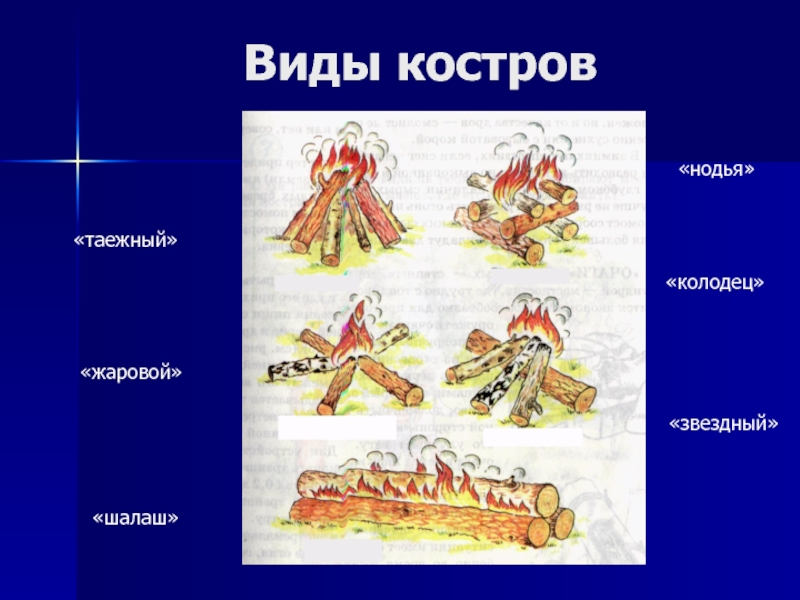 Виды кострова