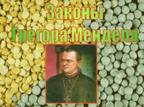Законы
Грегора Менделя