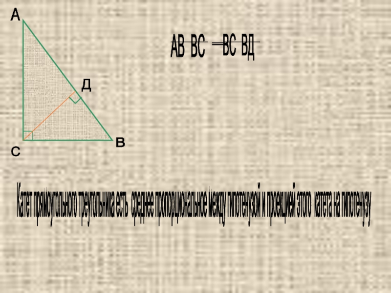 А В С Д Катет прямоугольного треугольника есть среднее пропорциональное между гипотенузой и проекцией этого катета на