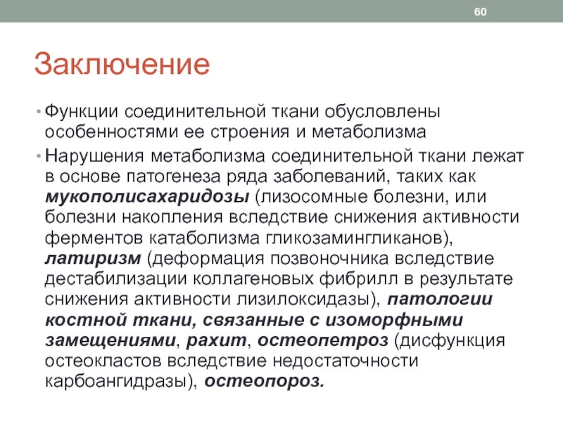 Функции заключения. Метаболизм протеогликанов соединительной ткани. Регуляция метаболизма соединительной ткани. Возрастные изменения метаболизма соединительной ткани. Особенности строения и метаболизма соединительной ткани..