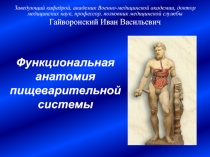 Функциональная анатомия пищеварительной системы