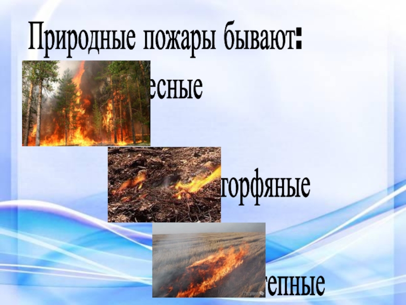 Презентация Природные пожары бывают:
лесные
торфяные
степные