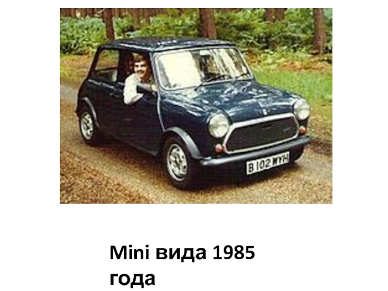 Мини вид. Mini вида 1985 года.