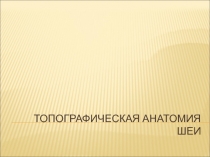 Топографическая анатомия шеи