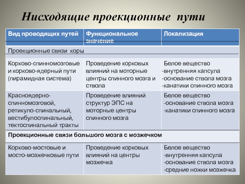 Проекция пути. Восходящие проекционные пути таблица. Нисходящие проекционные пути. Проекционные пути классификация. Проекционные нисходящие проводящие пути.