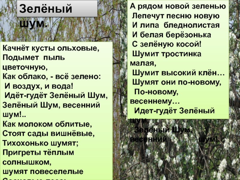 Составить рассказ по картинке 3 класс литературное чтение зеленый шум