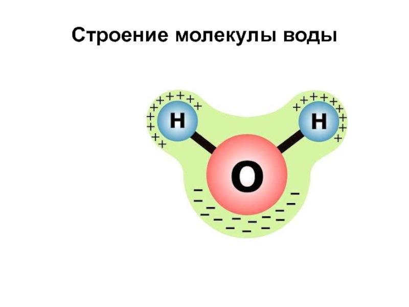 Строение молекулы воды схема