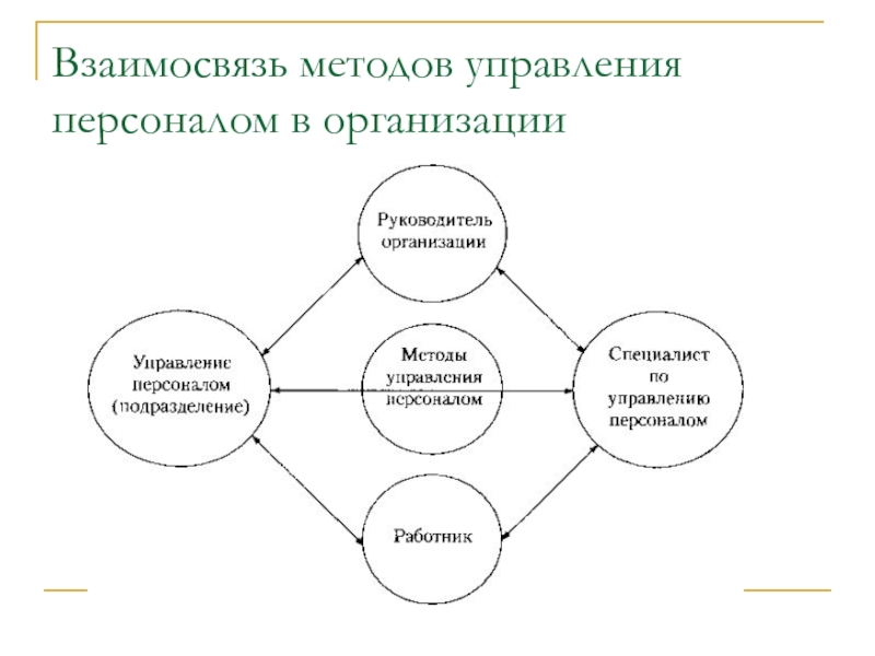 Основные элементы функции организации