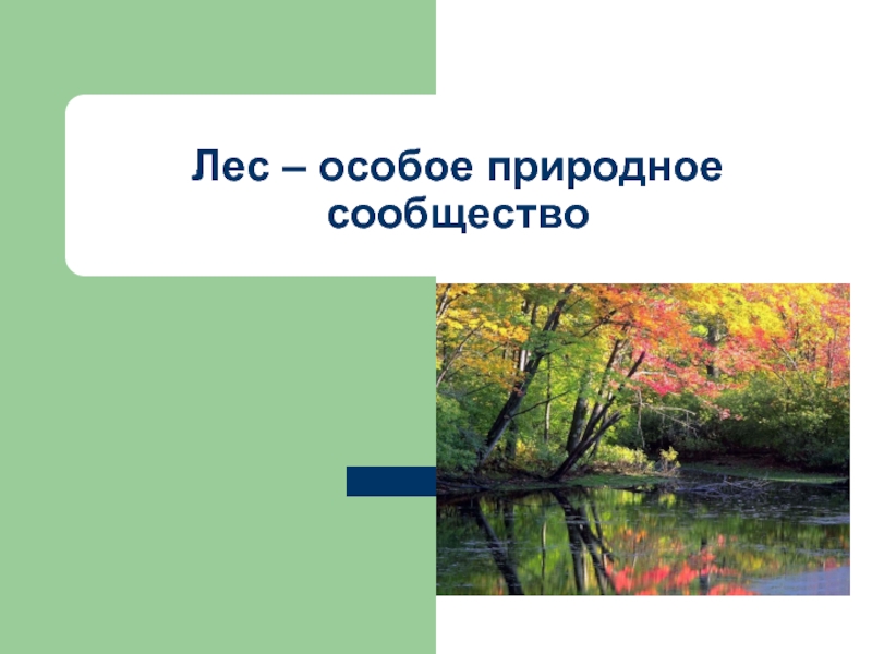 Природное сообщество лес 5 класс биология доклад. Природное сообщество лес. Природное сообщество лес презентация. Природное сообщество лес доклад. Охрана природного сообщества лес.