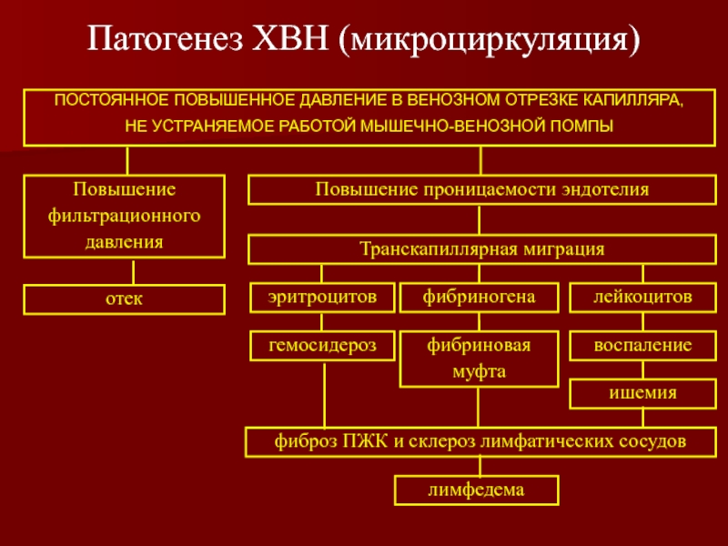 Постоянно повышен. Повышение венозного давления патогенез. Механизм развития местного гемосидероза. Патогенез гемосидероза. Гемосидероз патогенез.