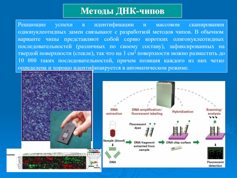 Днк чипы презентация