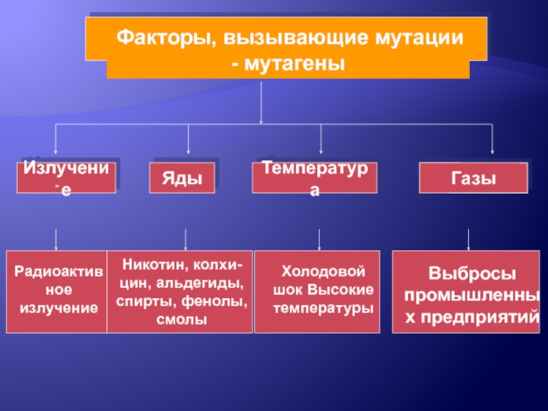 Мутации и мутагены презентация