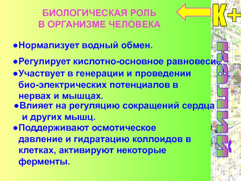 Биологическая роль металлов в организме человека презентация