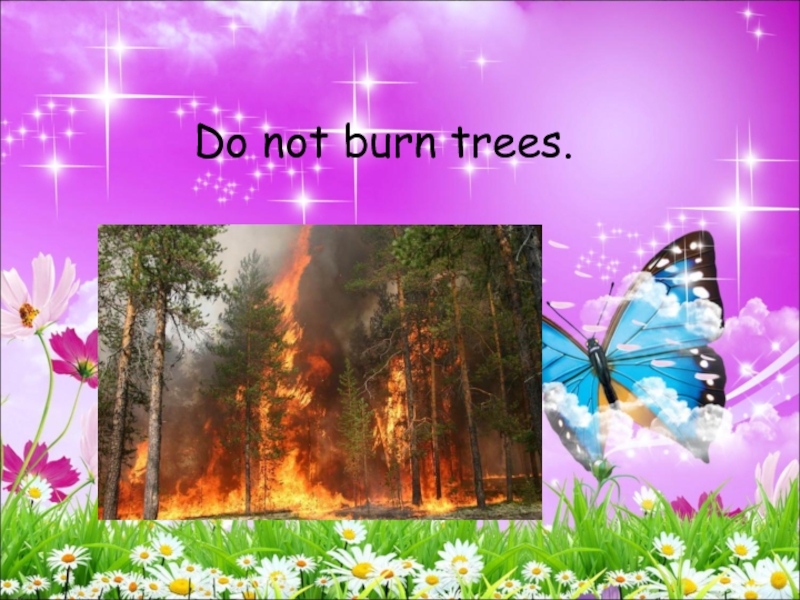 Do not burn trees.