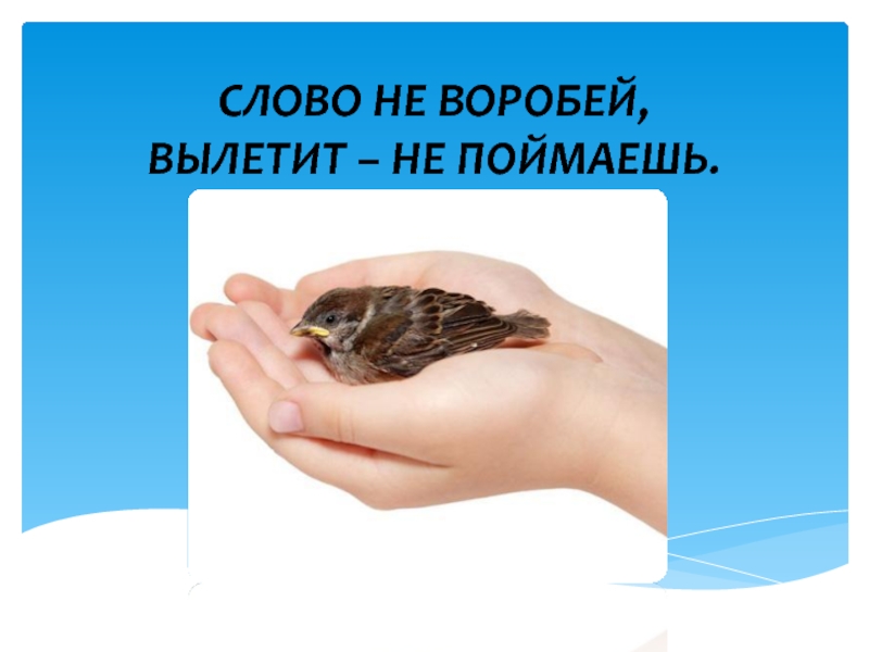 Слово не воробей. Слова не Веробей вылетит не поймаешь. Слово не Воробей вылетит. Слово на Воробей выылетитю. Слово не Воробей: вылетит – не Пойма.