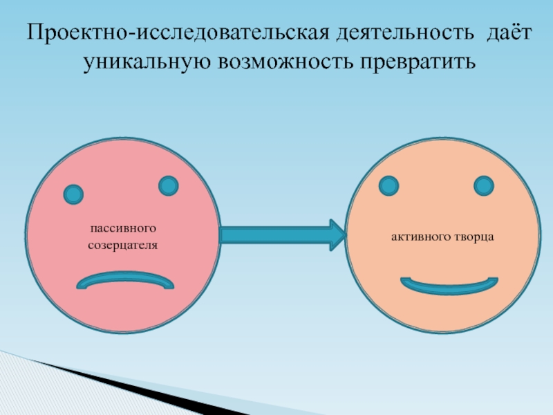 Организация проектно исследовательской деятельности