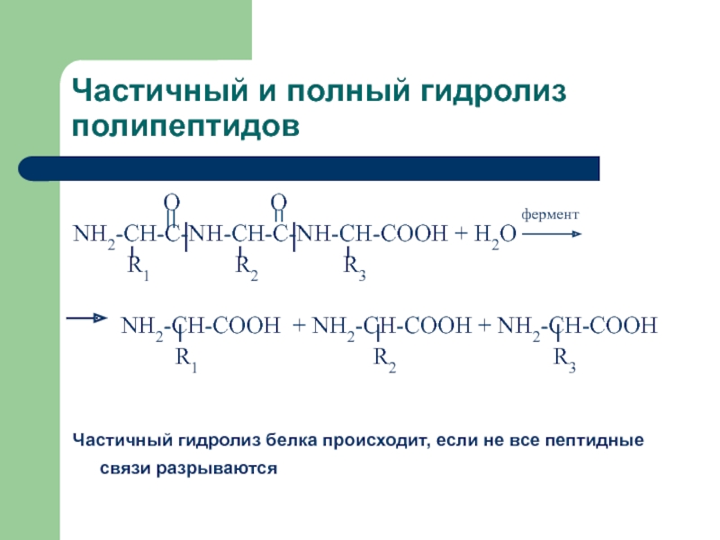 Полный гидролиз. Частичный и полный гидролиз полипептидов. Полный ферментативный гидролиз белков. Частичный гидролиз пептидов. Частичный и полный гидролиз белков.