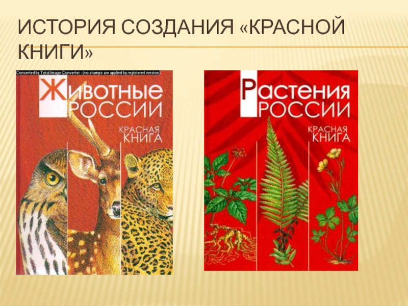 Красный урок. Красная книга России. Азбука книга красная. Рисунки 8 лет 2 класс красная книга. Рисунок на тему красная книга Осетии.