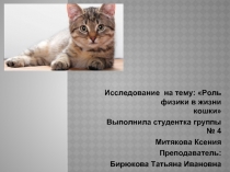 Исследование на тему: «Роль физики в жизни кошки»