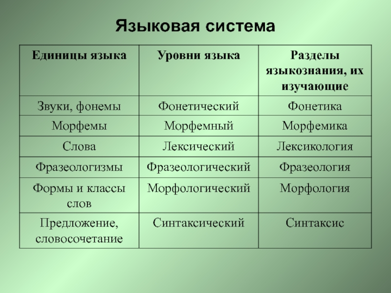 Структурная схема это в языкознании