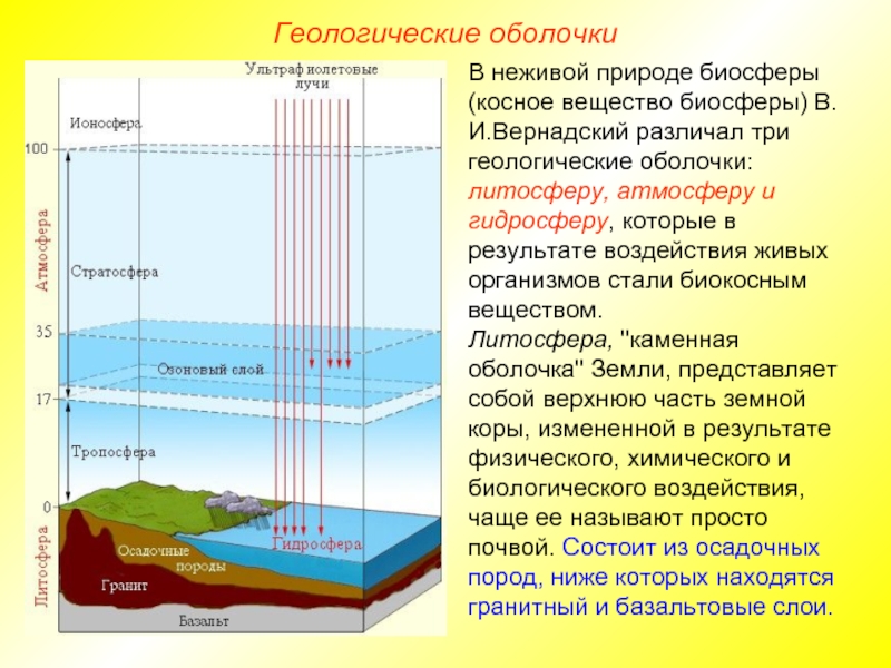 Геологические оболочкиВ неживой природе биосферы (косное вещество биосферы) В.И.Вернадский различал три геологические оболочки: литосферу, атмосферу и гидросферу,