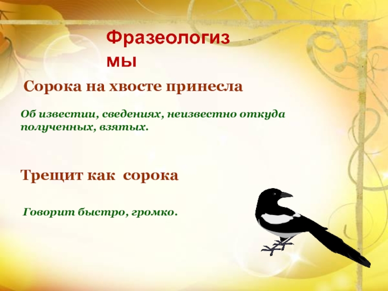 Фразеологизмы про птиц. Сорока на хвосте принесла фразеологизм. Фразеологизмы про сороку. Сорока новости на хвосте принесла. Пословица сорока на хвосте принесла.