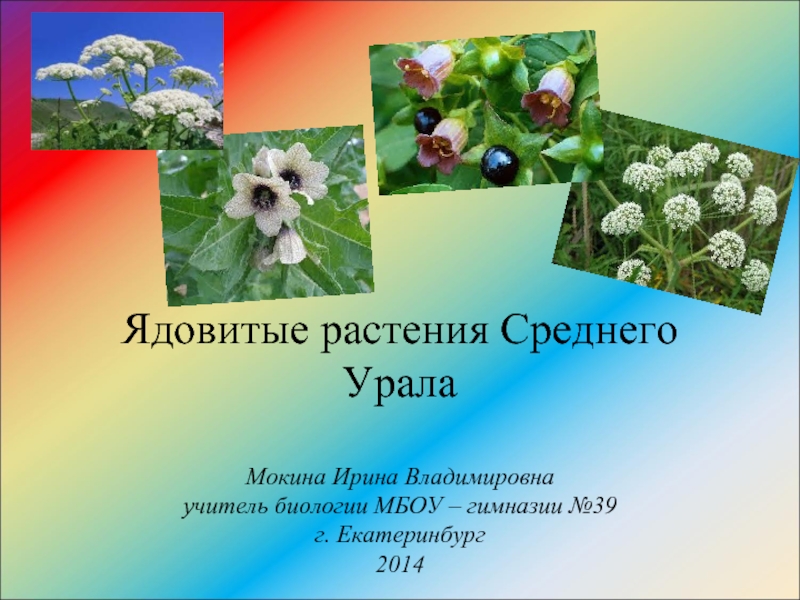 Презентация Ядовитые растения Среднего Урала