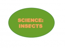 Science: insects 5 класс