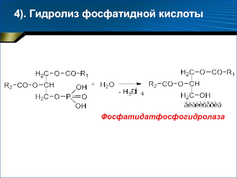 Схема образования фосфатидной кислоты содержащей остатки арахиновой и олеиновой кислот