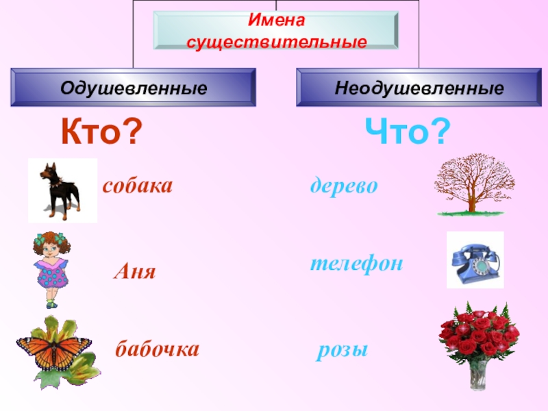 2 класс имя существительное обобщение презентация