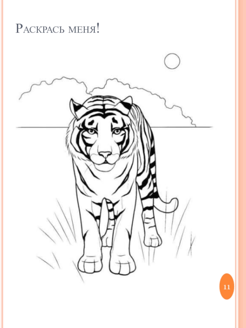 Тигр новогодний рисунок для детей поэтапно