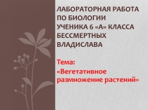 Лабораторная работа по биологии ученика 6 А класса Бессмертных Владислава