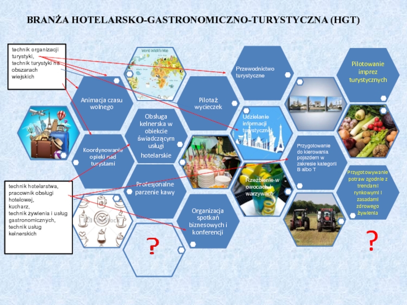 Kwalifikacje rynkowe
a szkolnictwo branżowe BRANŻA HOTELARSKO-GASTRONOMICZNO-TURYSTYCZNA (HGT)technik organizacji turystyki,technik turystyki na obszarach wiejskichtechnik hotelarstwa,pracownik obsługi BRANŻA HOTELARSKO-GASTRONOMICZNO-TURYSTYCZNA (HGT)technik organizacji turystyki,technik turystyki na obszarach wiejskichtechnik hotelarstwa,pracownik obsługi hotelowej,kucharz,technik żywienia i usługgastronomicznych,technik usług kelnerskichPrzewodnictwo