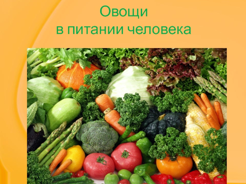Презентация Овощи в питании человека
