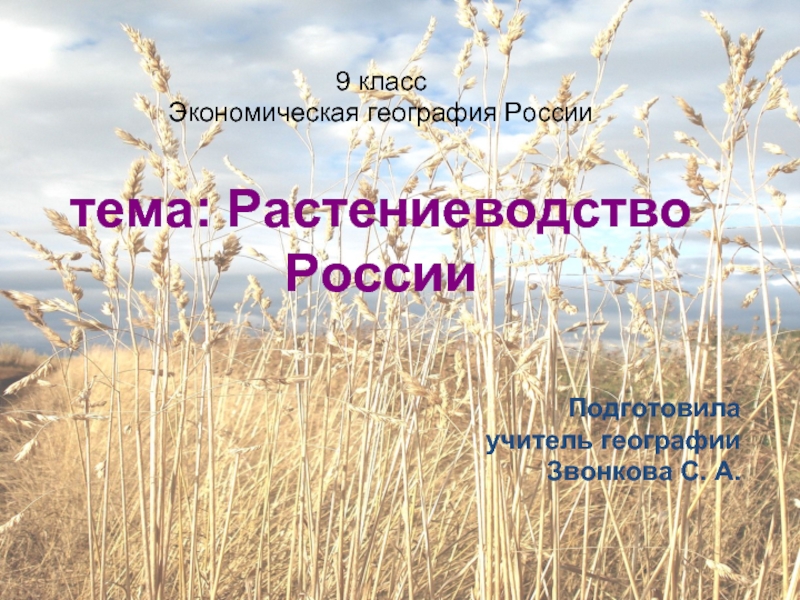 Презентация Растениеводство России
