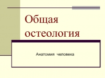 Анатомия человека